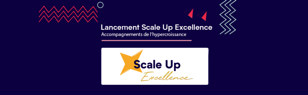 FTOne_Site_ScaleUpExcellence_Article