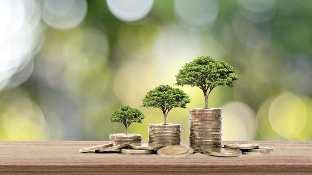the-tree-grows-on-a-stack-of-money-on-a-wooden-table-and-natural-background-the-concept-of-financial-investment-and-economic-expansion-free-photo