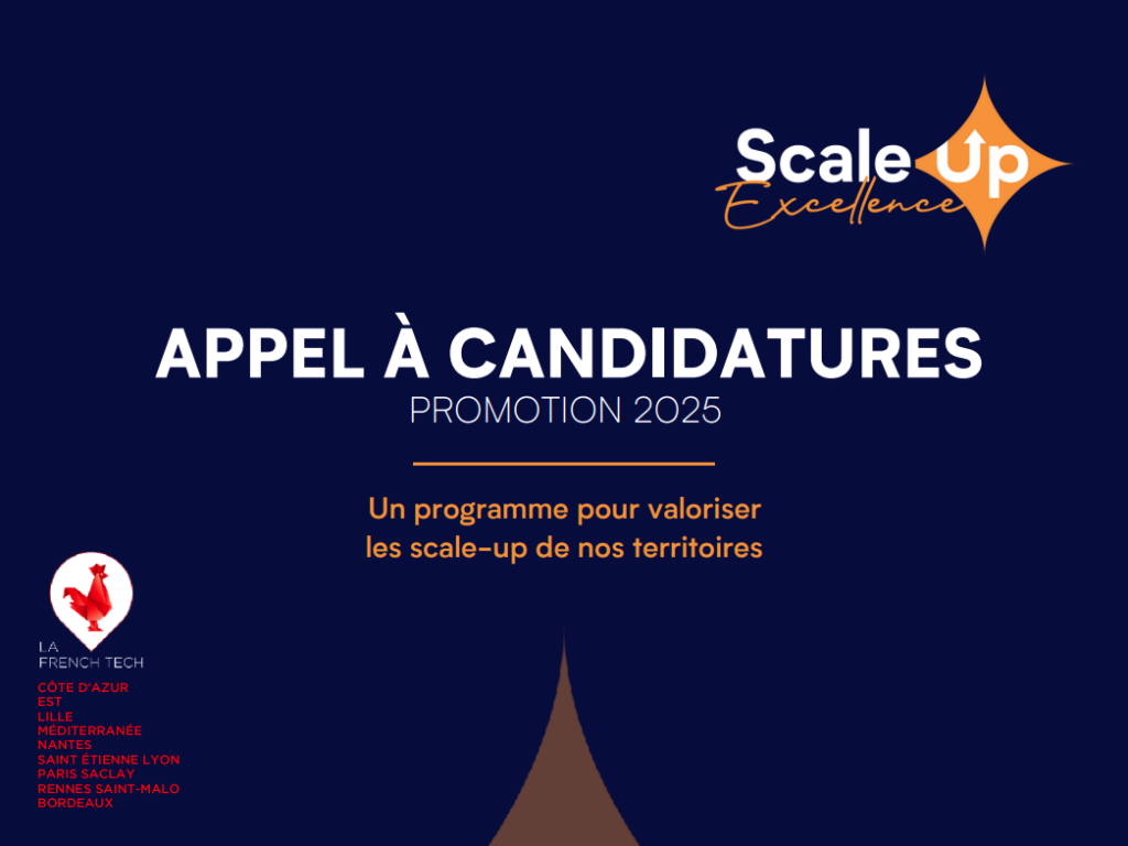Scale Up Excellence